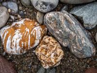 Mehrfarbige Steinansammlung im Uferkies